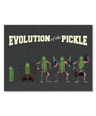 Rick and Morty Evolution Of The Pickle - obraz na płótnie