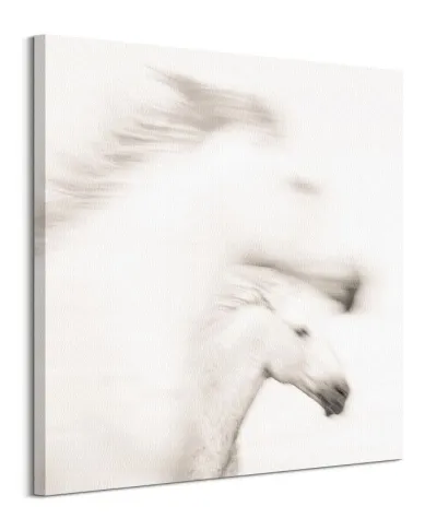 Gentle - obraz na płótnie