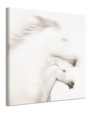 Gentle - obraz na płótnie