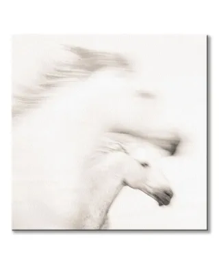 Gentle - obraz na płótnie