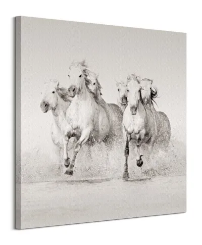 Splash - obraz na płótnie