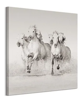 Splash - obraz na płótnie