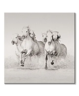 Splash - obraz na płótnie