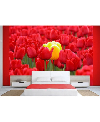 Fototapeta do sypialni - Tulipany - 254x183 cm