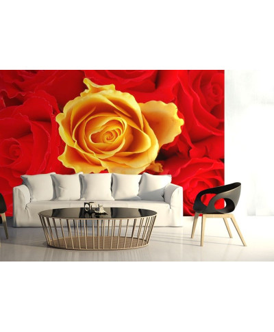 Fototapeta na ścianę  Czerwone i żółte róże - 254x183 cm