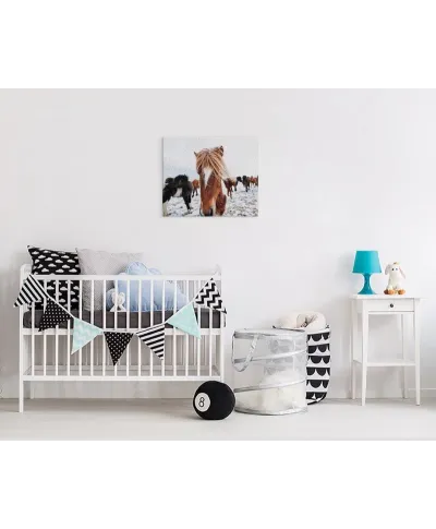 Icelandic Horse - obraz na płótnie