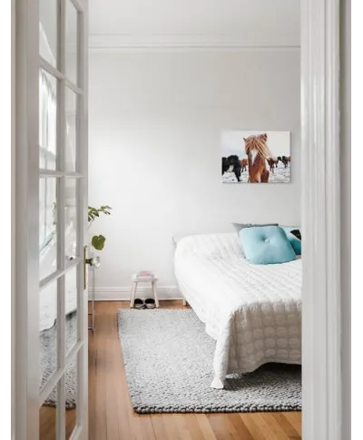 Icelandic Horse - obraz na płótnie