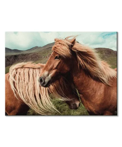 Horses with mane - obraz na płótnie