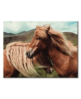 Horses with mane - obraz na płótnie