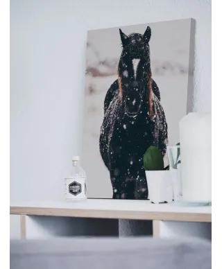 Llyn Brenig, United Kingdom - obraz na płótnie