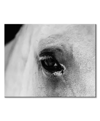 Black eye - obraz na płótnie