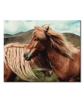 Horses with mane - obraz na płótnie