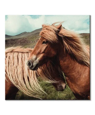 Horses with mane - obraz na płótnie