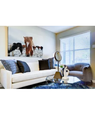 Obraz na ścianę - Konie - Icelandic Horse