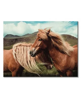 Obraz na scianę - Horses with mane