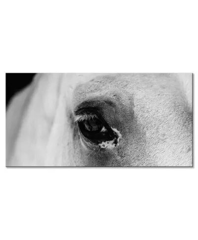 Black eye - obraz na płótnie