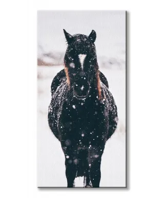 Llyn Brenig, United Kingdom - obraz na płótnie