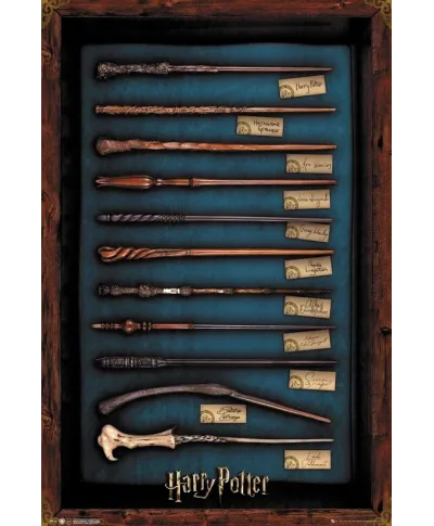 Harry Potter Wands - plakat z filmu