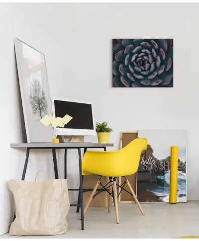 Israeli cactus - obraz na płótnie