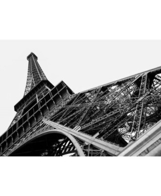 Fototapeta na ścianę - Paryż, wieża Eiffel - 254x183 cm