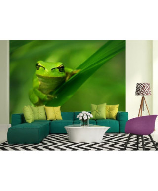 Fototapeta na ścianę - Zielona żaba - 254x183 cm