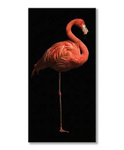 Flamingo I - obraz na płótnie
