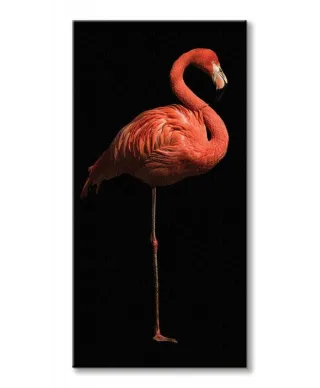 Flamingo I - obraz na płótnie