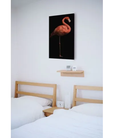 Flamingo I - obraz na płótnie