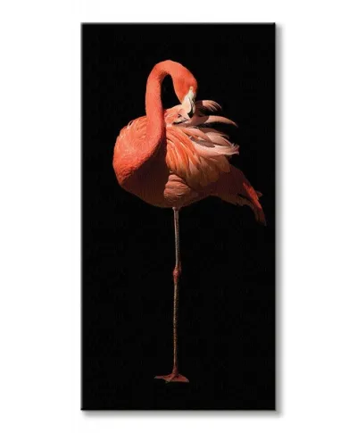 Flamingo II - obraz na płótnie