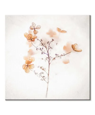 Frozen Hydrangeas - obraz na płótnie
