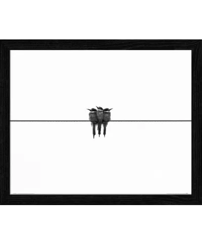 Black Swallow - plakat