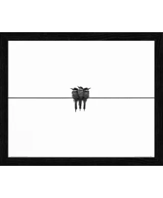 Black Swallow - plakat