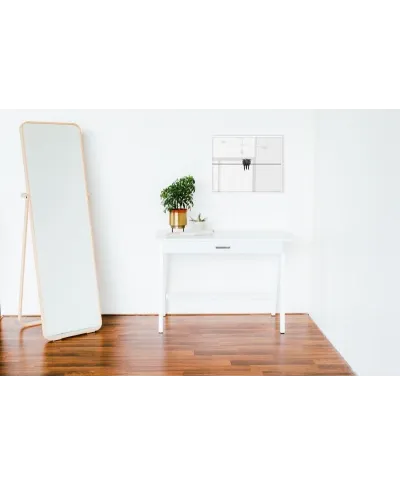 Black Swallow - plakat