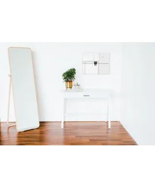 Black Swallow - plakat