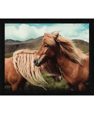 Horses with mane - plakat