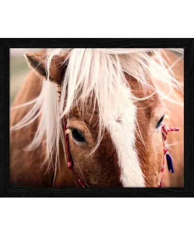 Switzerland horse - plakat