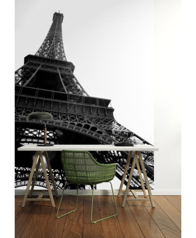Fototapeta do salonu - Wieża Eiffel, Paryż - 183x254 cm