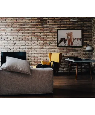 Icelandic Horse - plakat