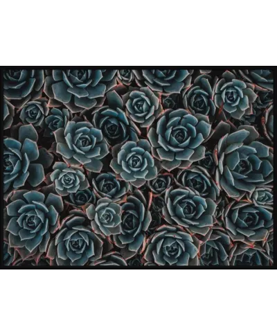 Plakat na ścianę 3d - Kwiaty Succulents