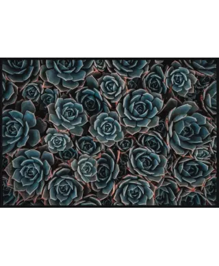 Plakat - Kwiaty 3d - Succulents