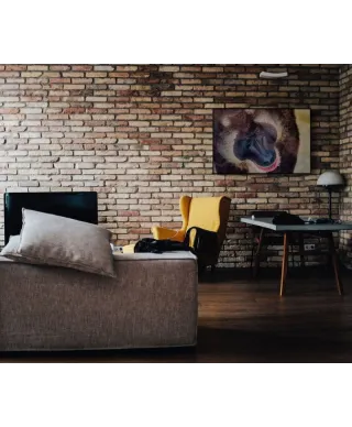 Plakat z pawianem - Baboon