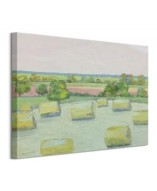 Bele siana na łące - obraz na płótnie