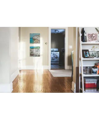 Biały Port - obraz na płótnie