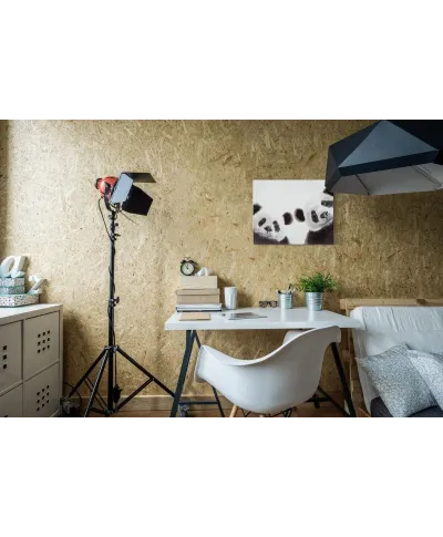 Dwie Pandy - obraz na płótnie