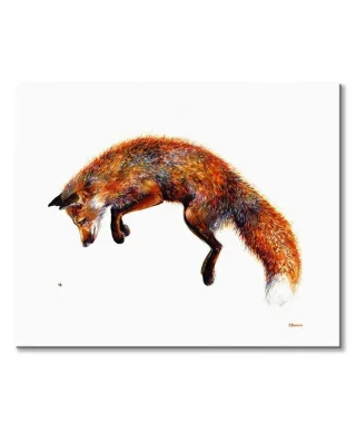 Obraz na ścianę - Lis Felix i Pszczoła - 40x50cm