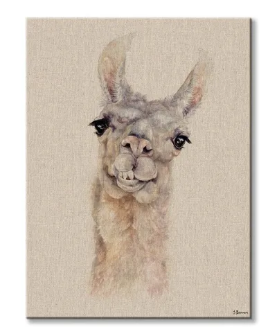 Lama - obraz na płótnie