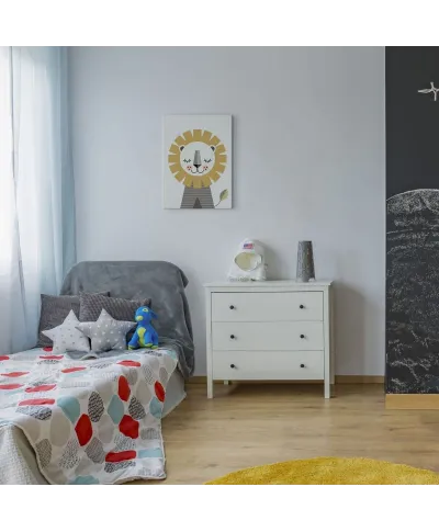 Lew - obraz na płótnie