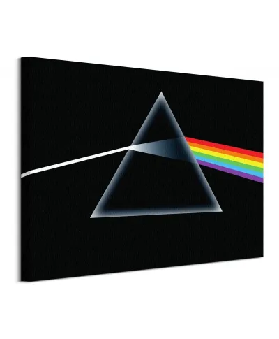 Pink Floyd Dark Side Of The Moon - obraz na płótnie