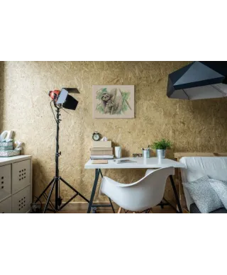 Rodzina Leniwców - obraz na płótnie