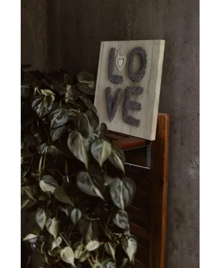 Lawendowa miłość - obraz na płótnie